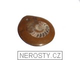 amonit - 2355 amonit