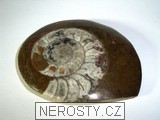 amonit - 2457 amonit
