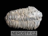 trilobit - 2700 trilobit