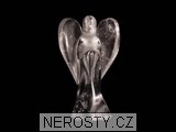 záhněda - 2776 záhněda