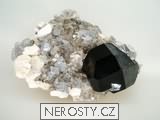 skoryl,z�hn�da