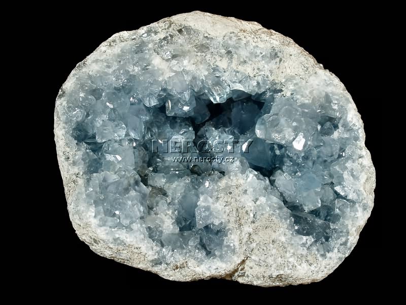 CELESTIN 3582 Nerosty.cz