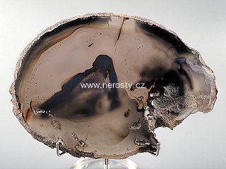 chalcedon