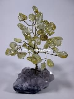 citr�n + strome�ek �t�st�