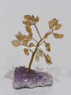 citr�n + strome�ek �t�st�