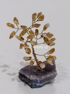 citr�n + strome�ek �t�st�