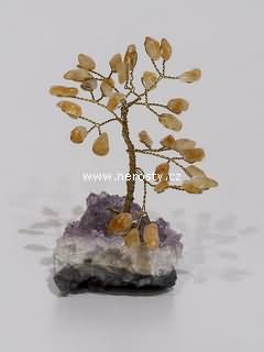 citr�n + strome�ek �t�st�