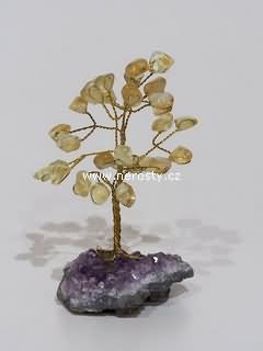 citr�n + strome�ek �t�st�