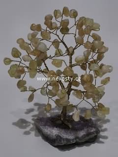 citr�n + strome�ek �t�st�