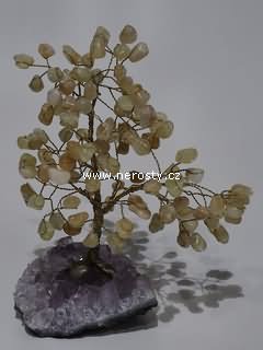 citr�n + strome�ek �t�st�