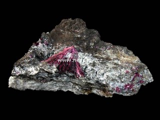 erytr�n