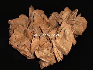sadrovec