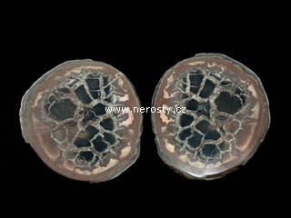 septarie