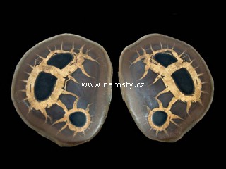 septarie