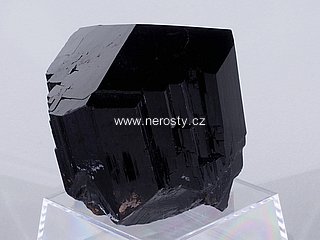 skoryl