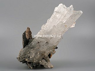 gypsum