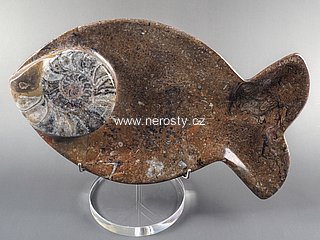 tacek-ryba--s-fosilii
