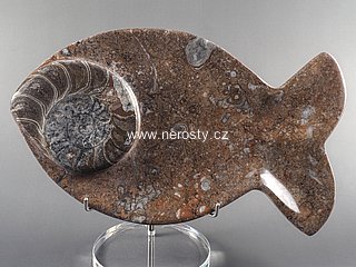 tacek-ryba--s-fosilii