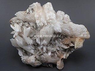 gypsum