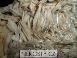 baryt