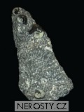 skulptura amonit, MinasGerais