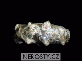 amonit + mammites nodosoides