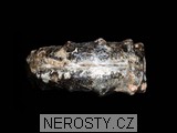 amonit + mammites nodosoides