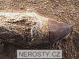 zub + mosasaurus anceps