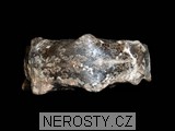 amonit + mammites nodosoides