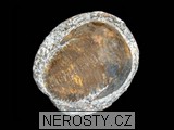 trilobit