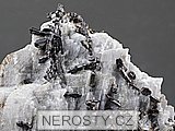 dyskrazit + allargentum + stbro