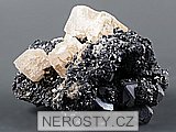 https://www.nerosty.cz/mini/03416.jpg