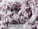 rodochrozit