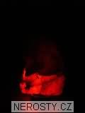 selenit + lampa + prodn hlza