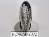 goniatit + letn foslie