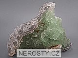https://www.nerosty.cz/mini/10001.jpg
