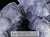fluorit