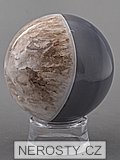 chalcedon