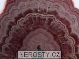 rodochrozit + ez
