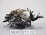 dyskrazit + allargentum + aktinolit