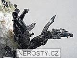 dyskrazit + allargentum + aktinolit