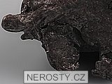 železný meteorit, siderit