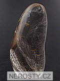 zhnda
