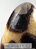 septrie