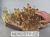 citrn