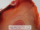 karneol + acht