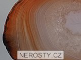 karneol + acht