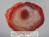 karneol