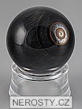 falcon eye