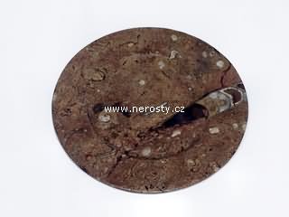 mramor s fos�liemi + kulat� tal��